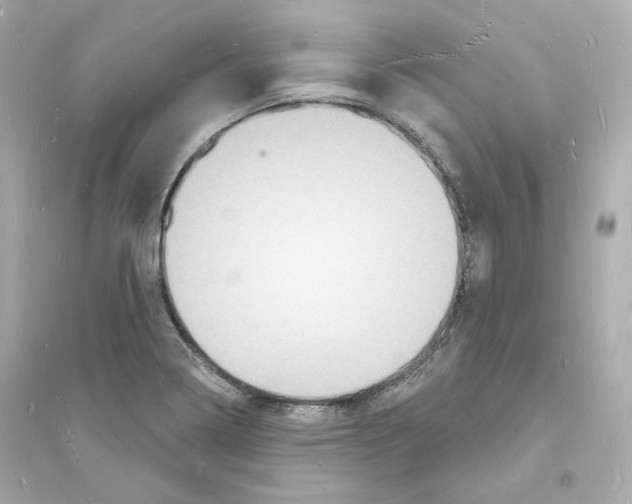 X0000093721322200711131004