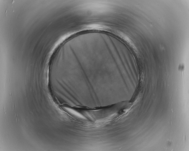 X0000093721323200711131004