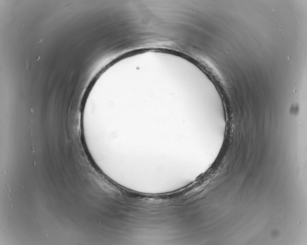 X0000093721324200711131004