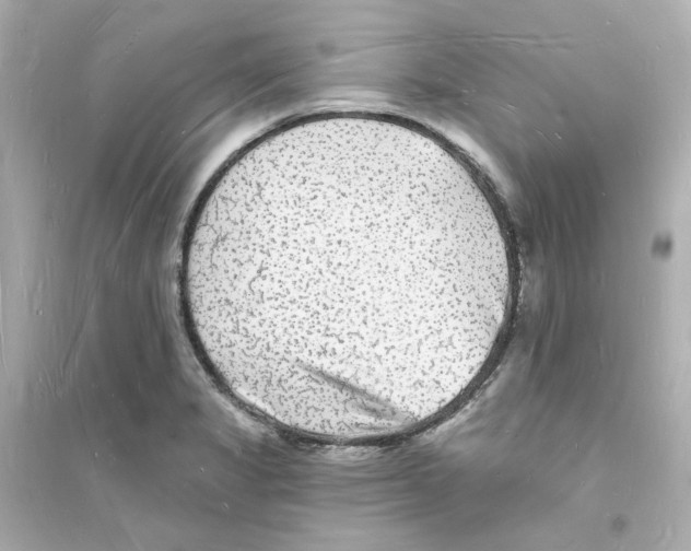 X0000093721325200711131004