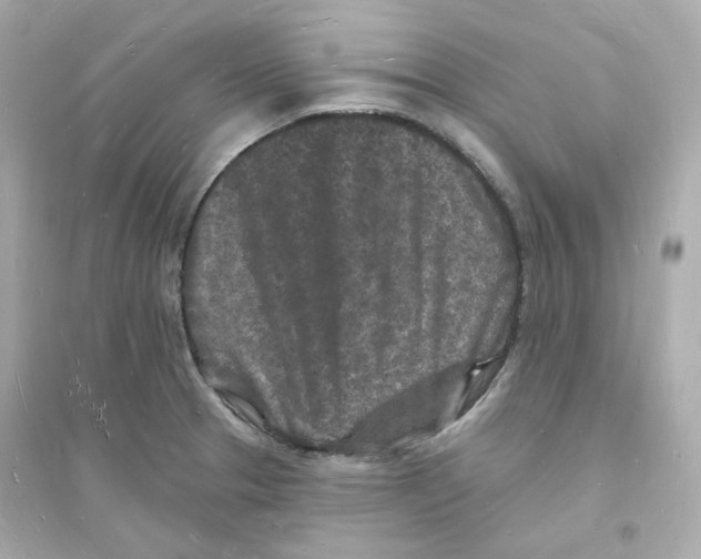 X0000093721329200711131004