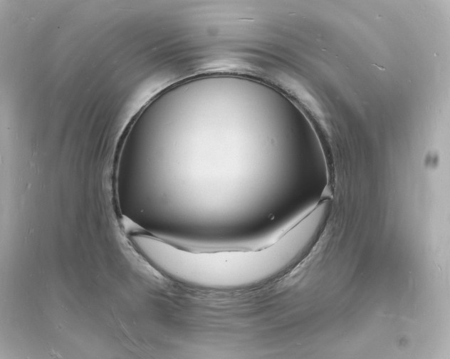 X0000093721330200711131004