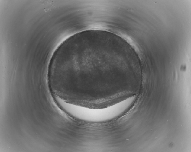 X0000093721331200711131004