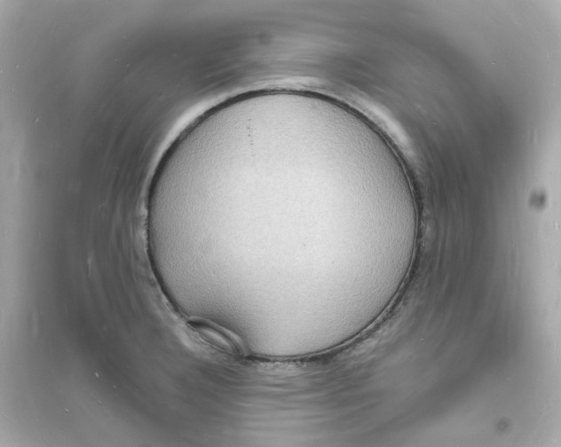 X0000093721332200711131004