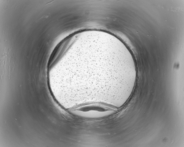 X0000093721335200711131004