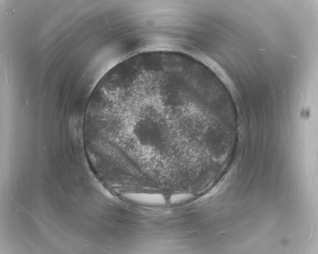 X0000093721337200711131004