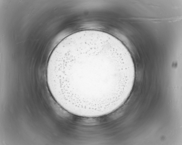 X0000093721338200711131004