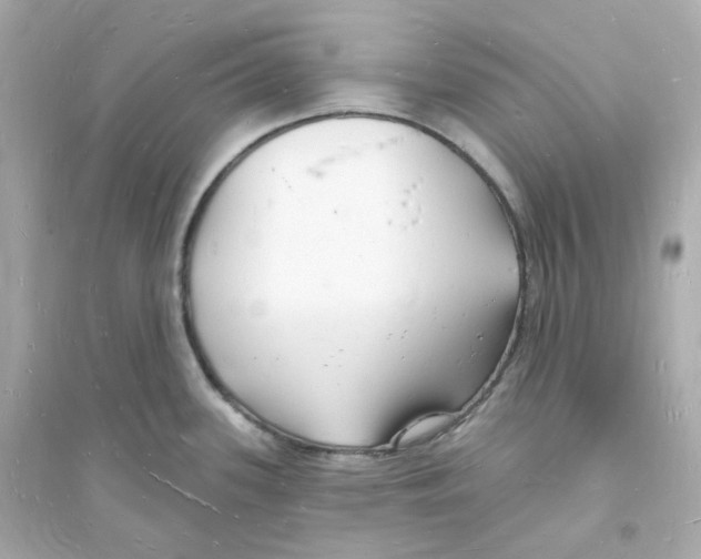 X0000093721339200711131004