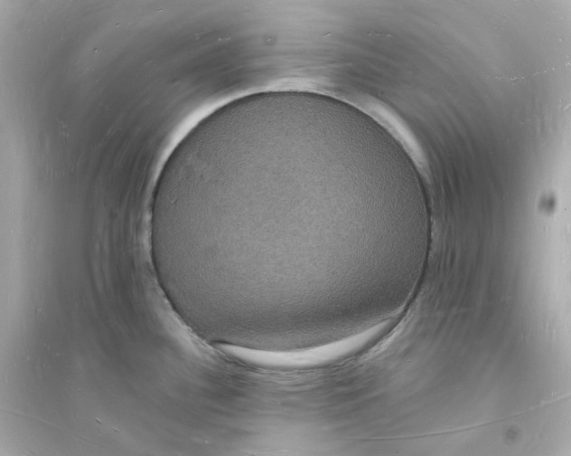 X0000093721340200711131004