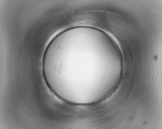 X0000093721341200711131004