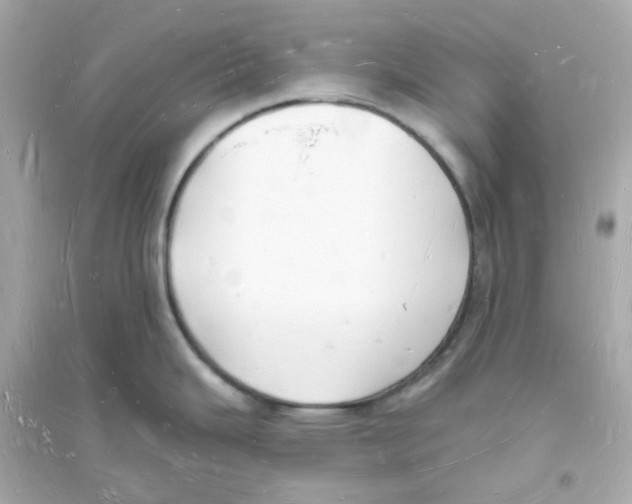 X0000093721343200711131004