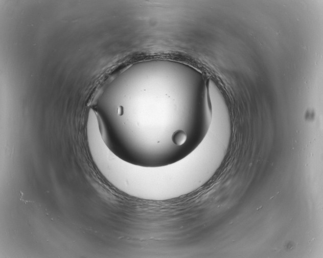 X0000093721348200711131003