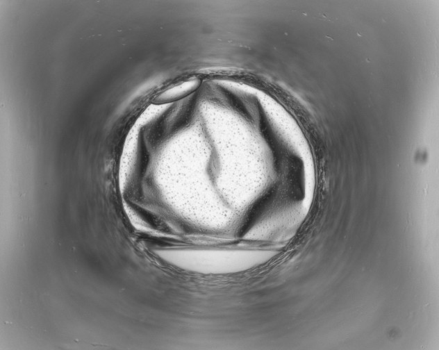 X0000093721351200711131003