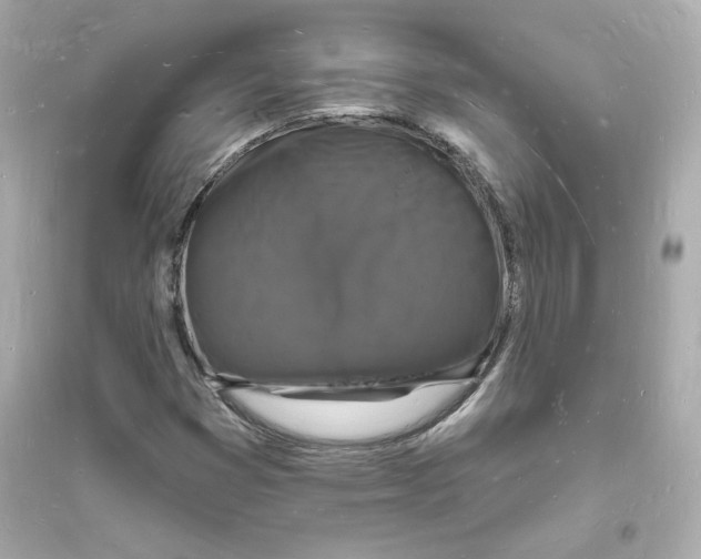 X0000093721353200711131003