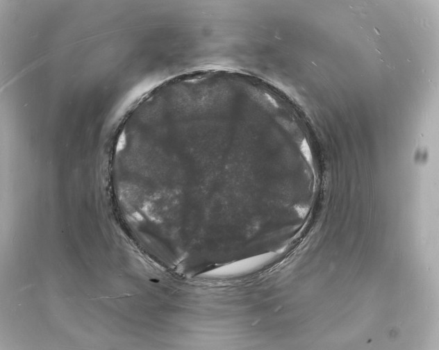 X0000093721359200711131003