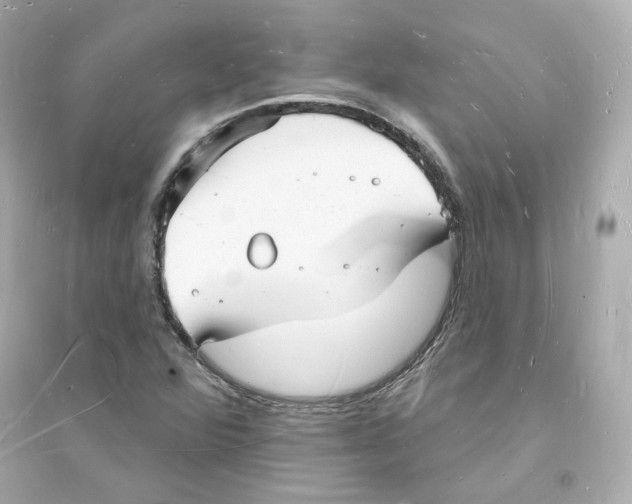 X0000093721360200711131003