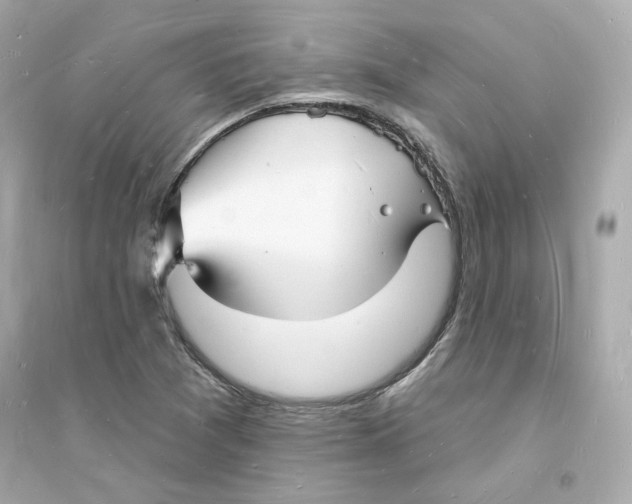 X0000093721361200711131003