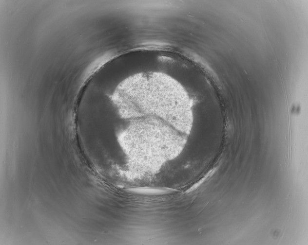 X0000093721362200711131003