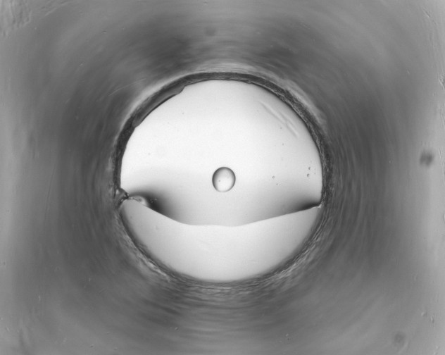 X0000093721364200711131003