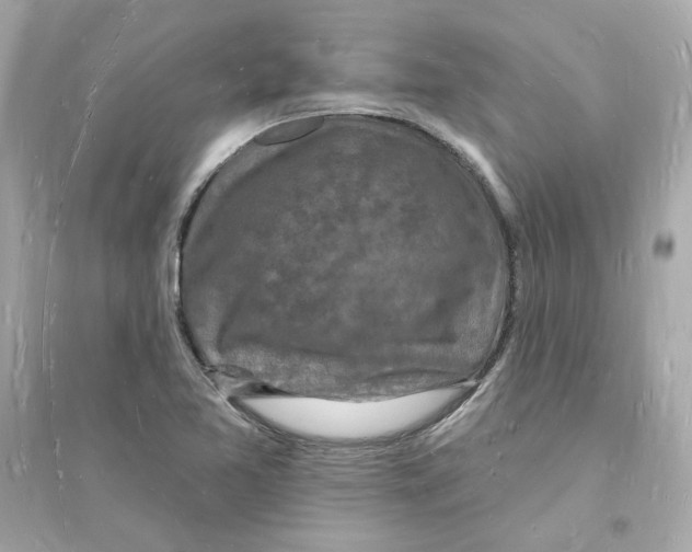 X0000093721365200711131003