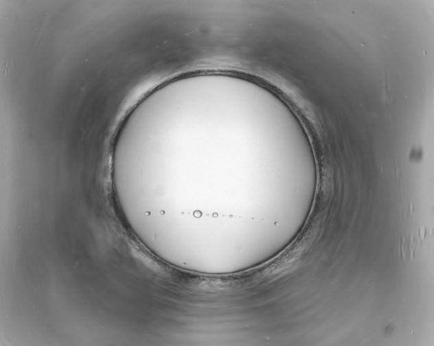 X0000093721366200711131003