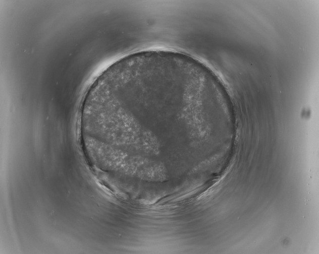 X0000093721367200711131003