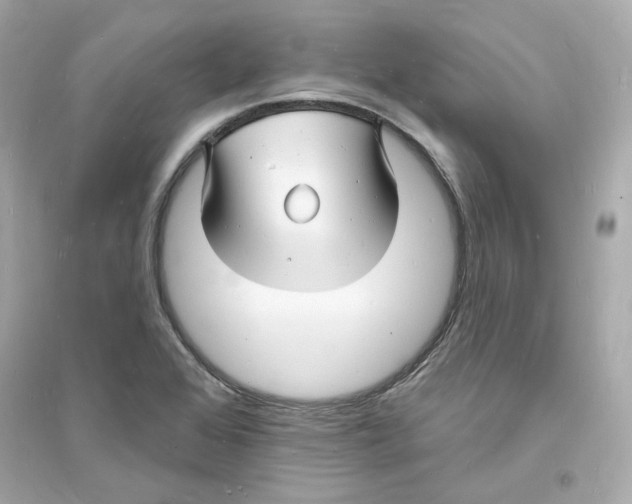 X0000093721368200711131003