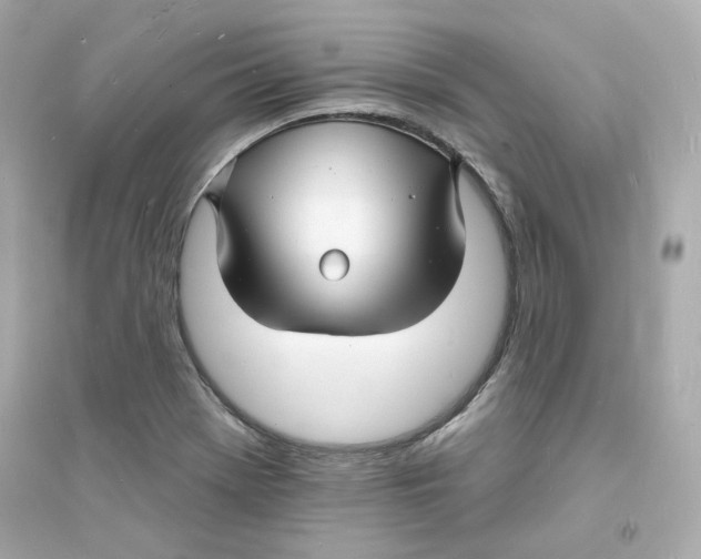 X0000093721369200711131003