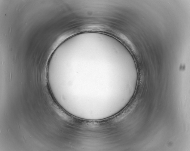 X0000093721370200711131003