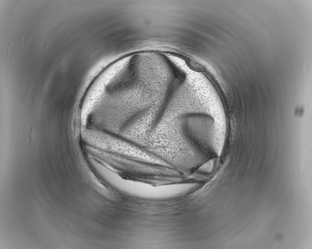 X0000093721371200711131003