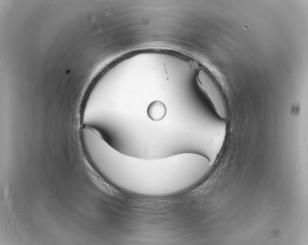 X0000093721372200711131003