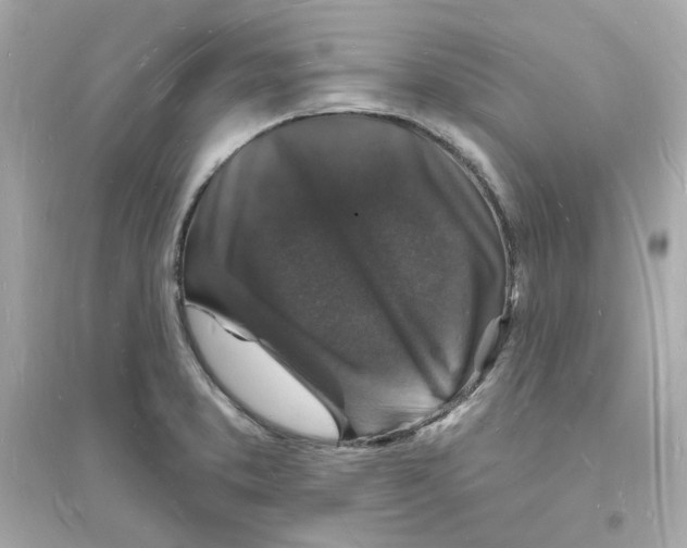 X0000093721373200711131003