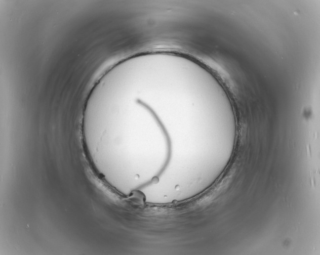 X0000093721374200711131003