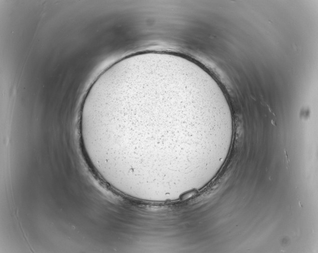 X0000093721375200711131003