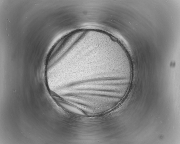 X0000093721376200711131003