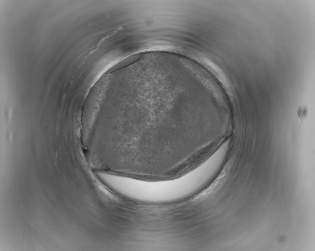 X0000093721377200711131003