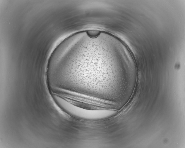 X0000093721379200711131003