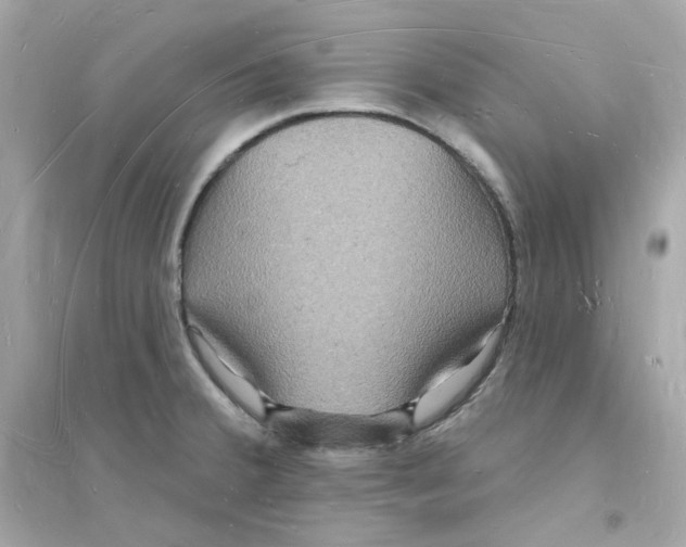 X0000093721380200711131003