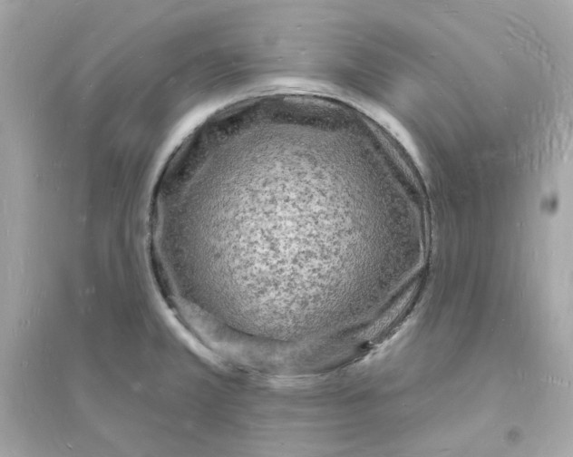 X0000093721381200711131003