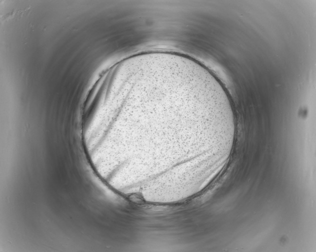 X0000093721382200711131003