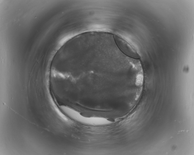 X0000093721383200711131003