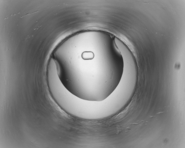 X0000093721384200711131003