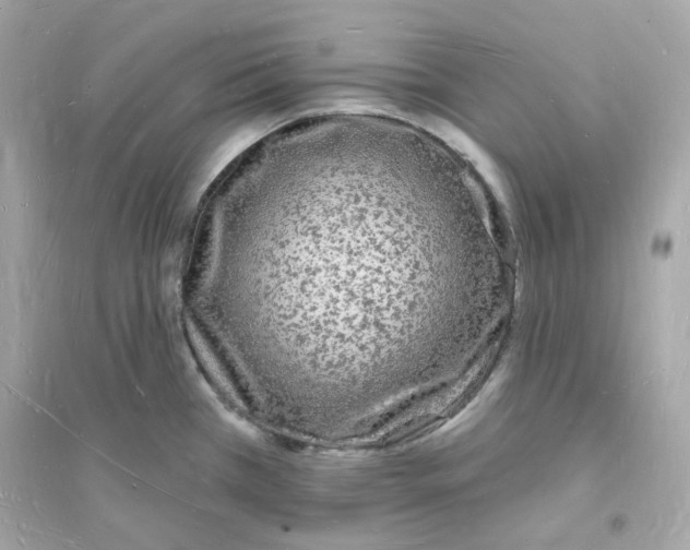 X0000093721385200711131003