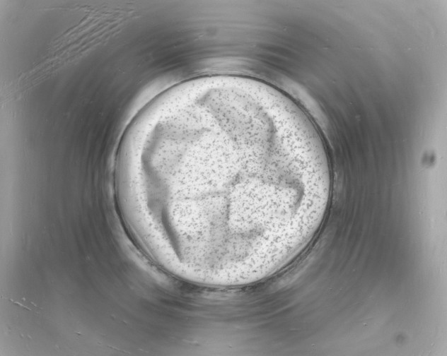 X0000093721386200711131003