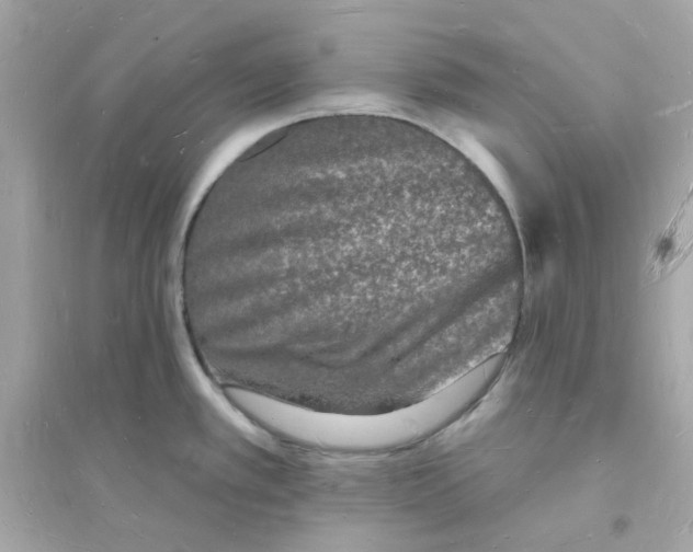 X0000093721389200711131003