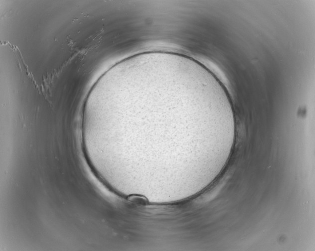 X0000093721391200711131003