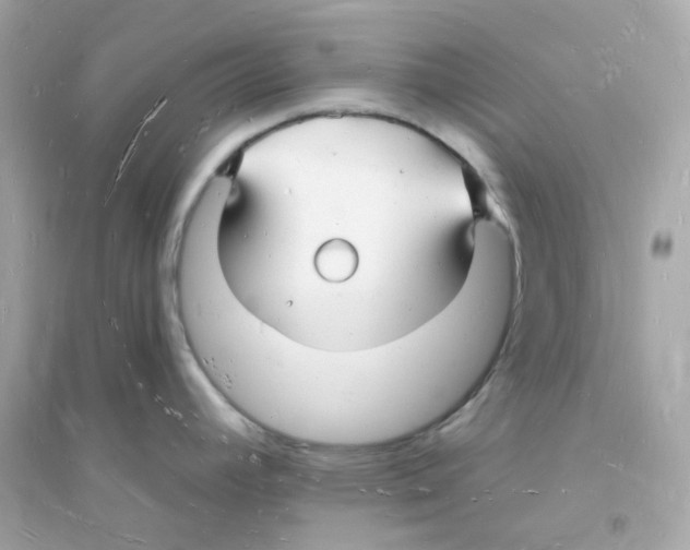 X0000093721392200711131003