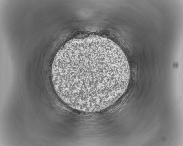 X0000093721393200711131002