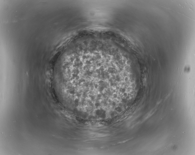 X0000093721397200711131002