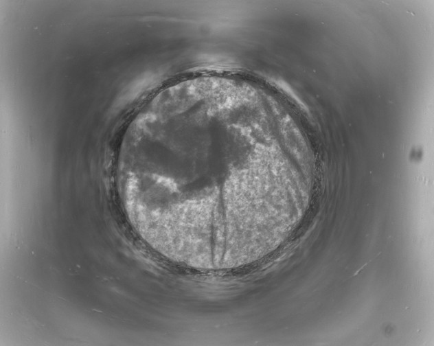 X0000093721399200711131002